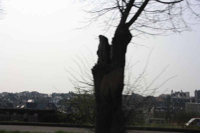 IMG_7174.JPG