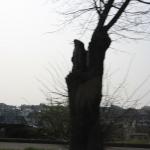 IMG_7174.JPG