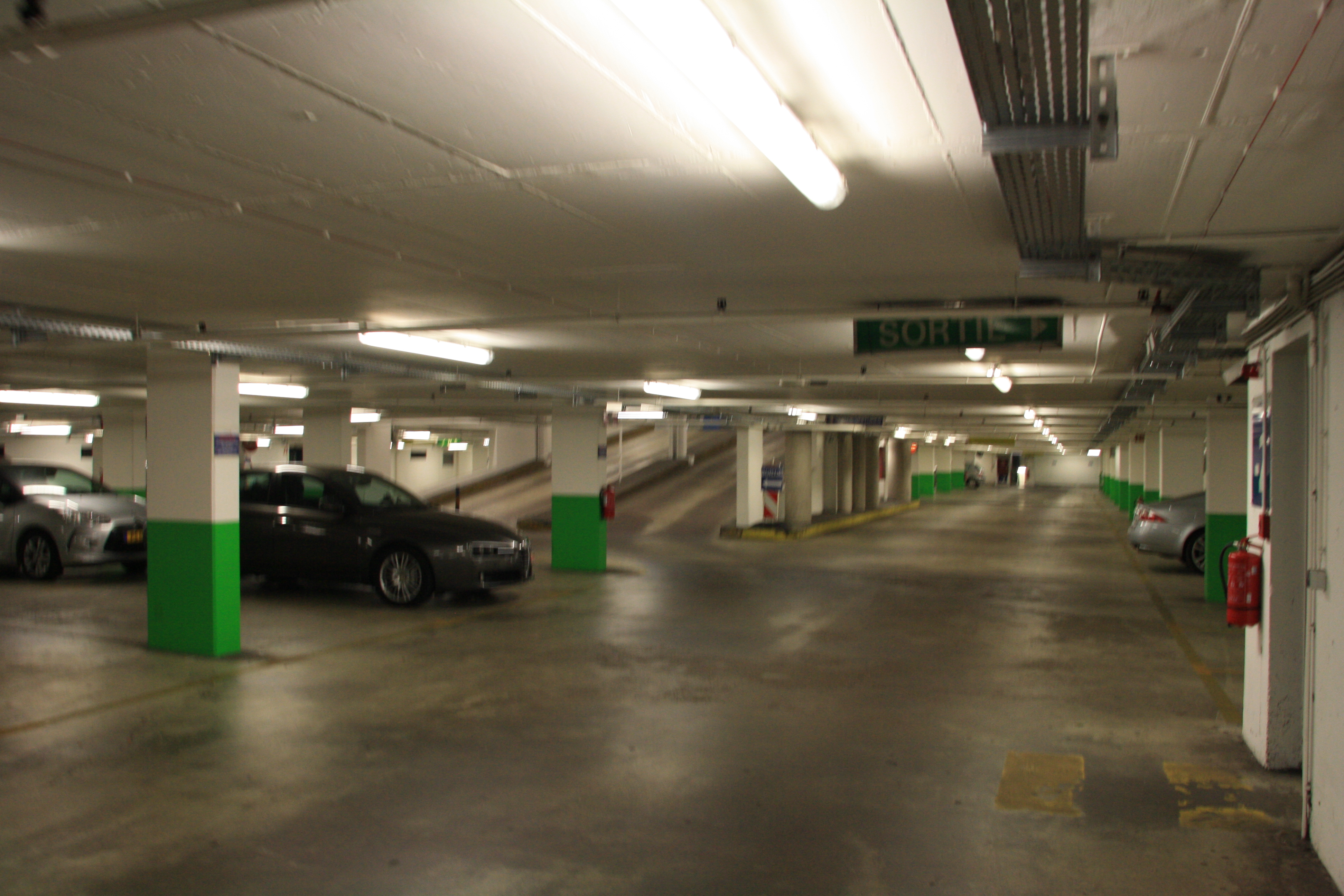 IMG_7185.JPG
