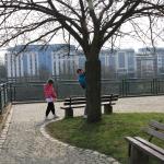 IMG_7266.JPG