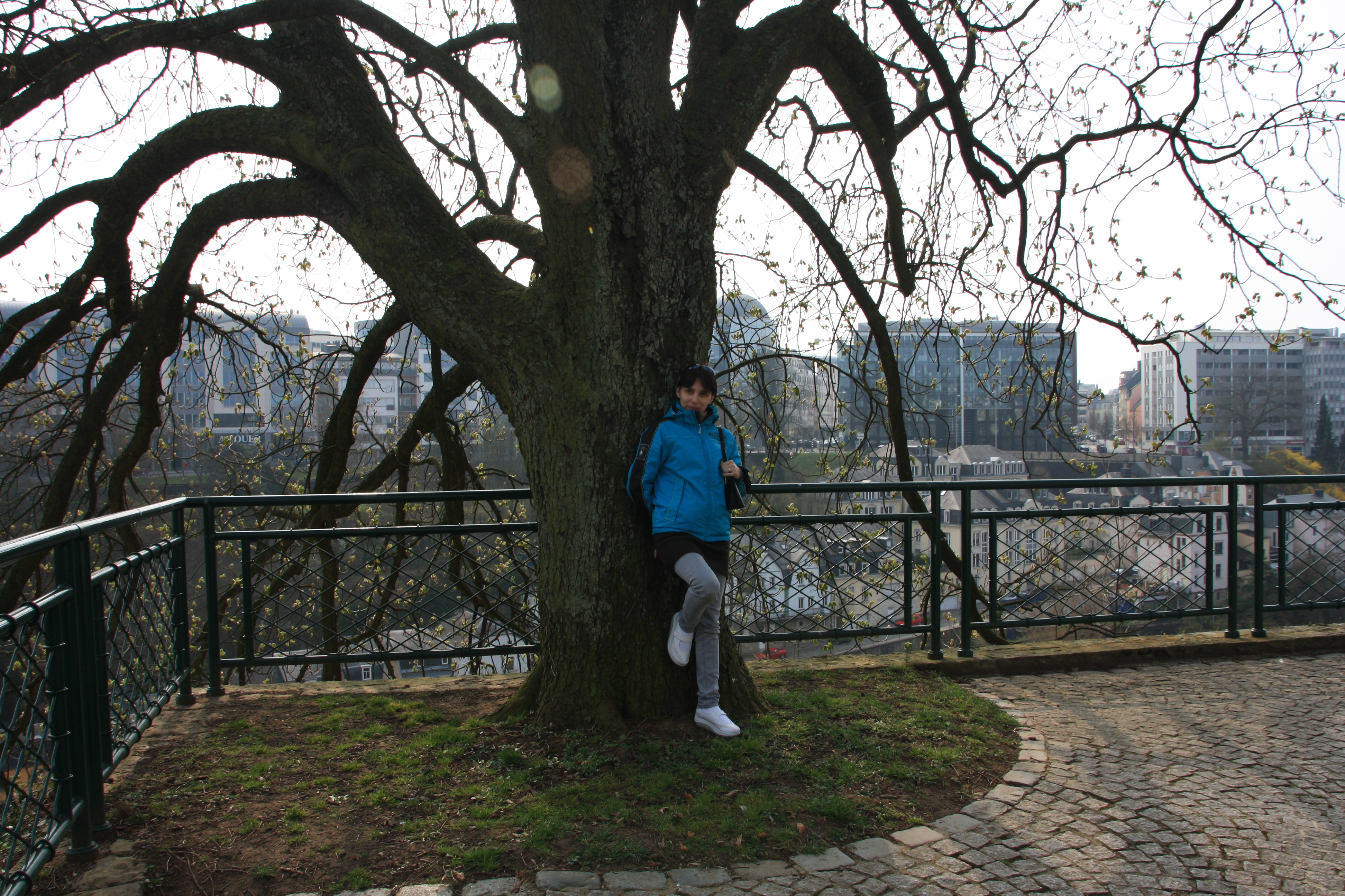 IMG_7276.JPG