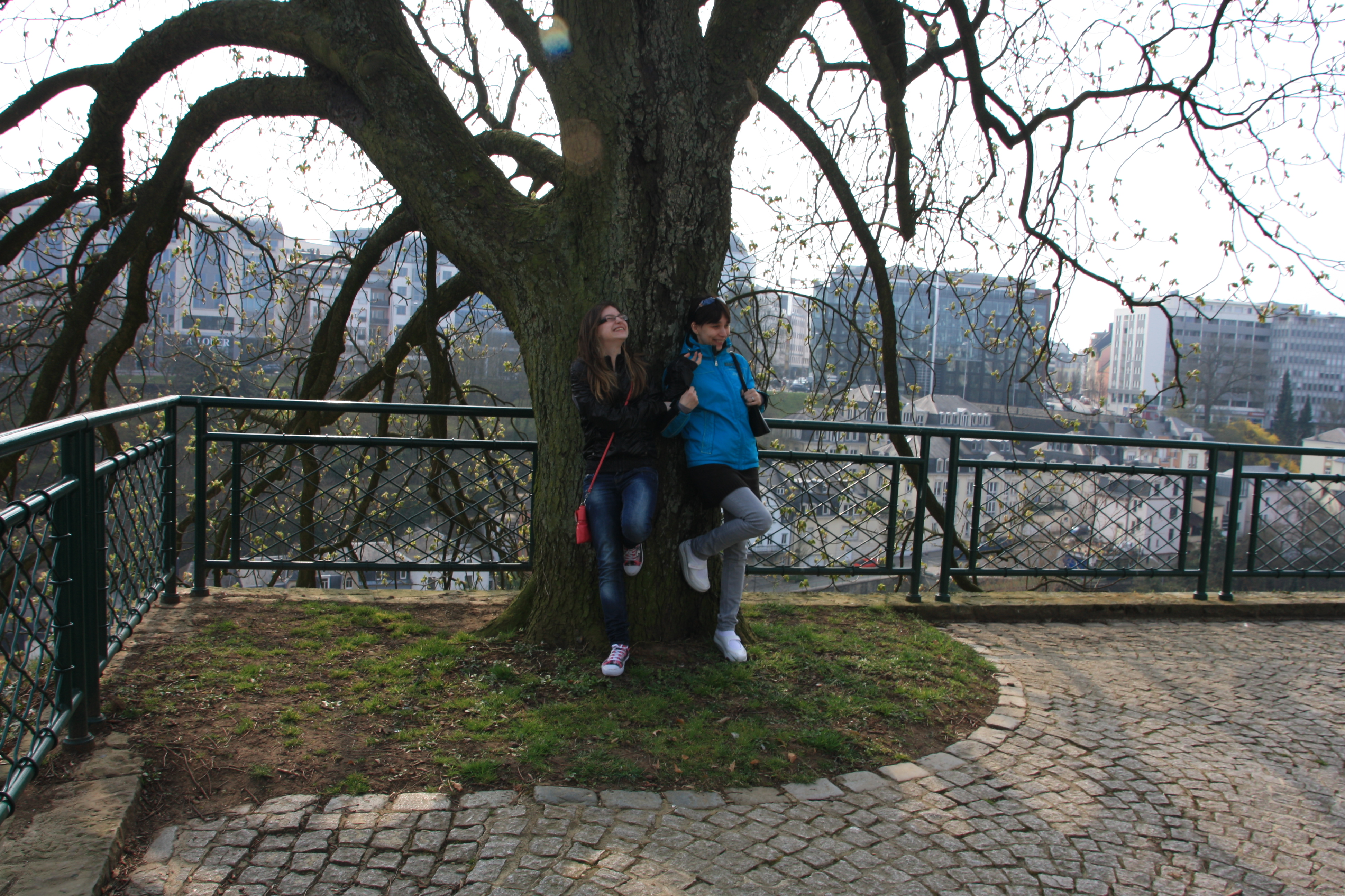 IMG_7277.JPG