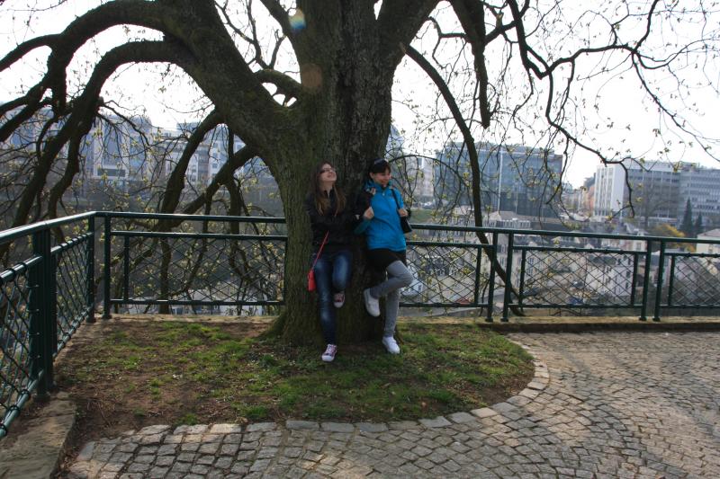 IMG_7277.JPG