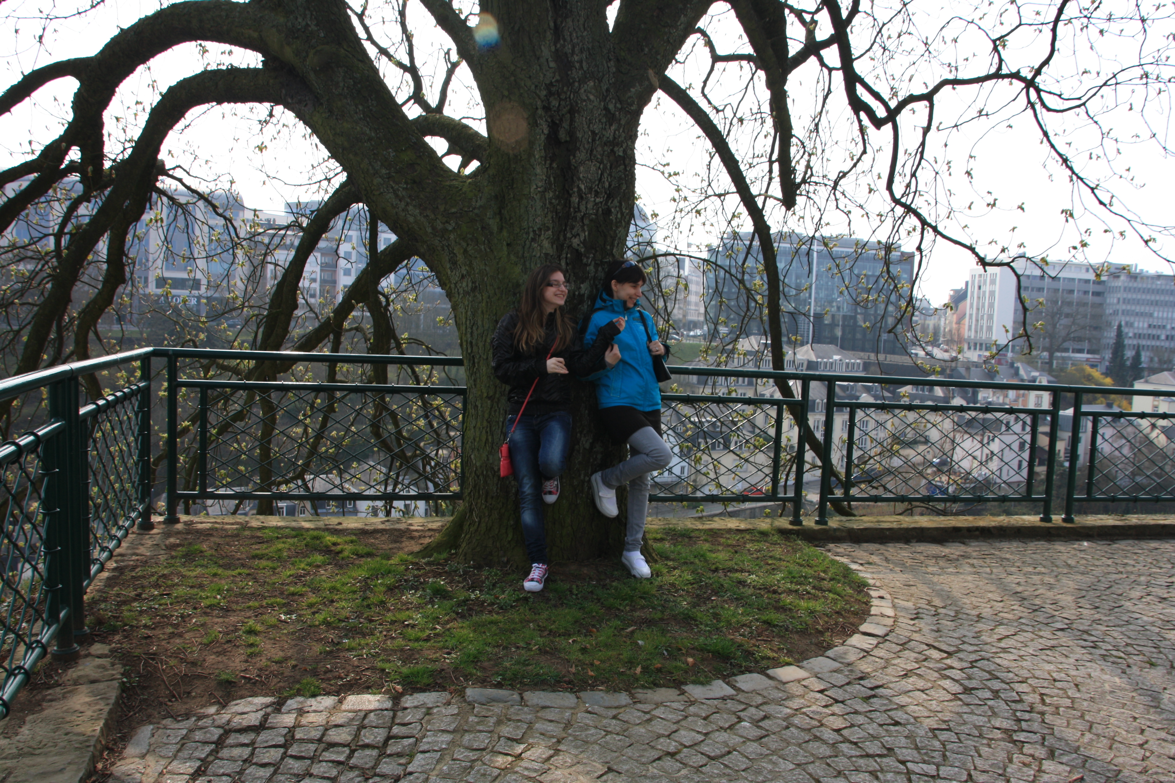 IMG_7278.JPG