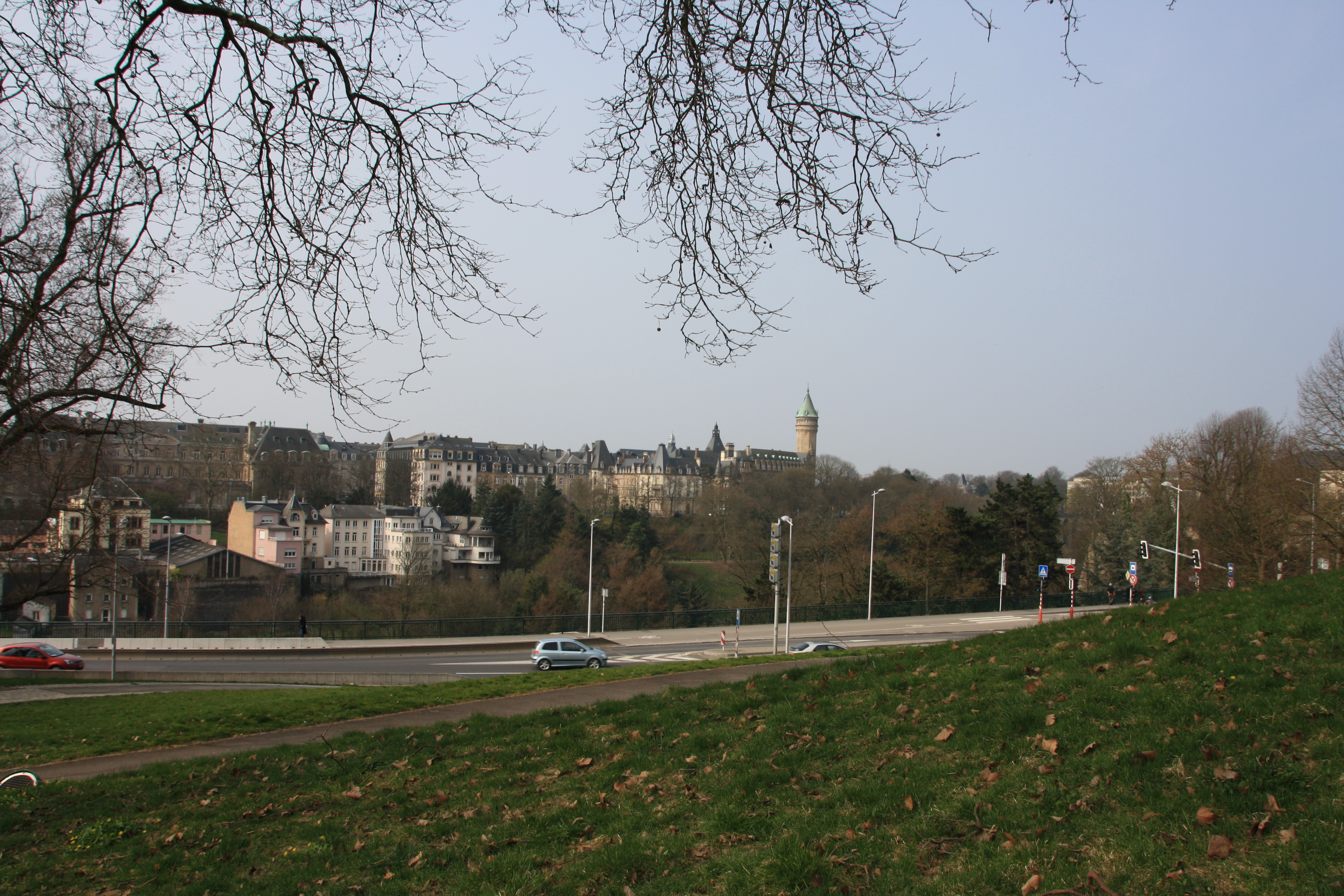 IMG_7309.JPG