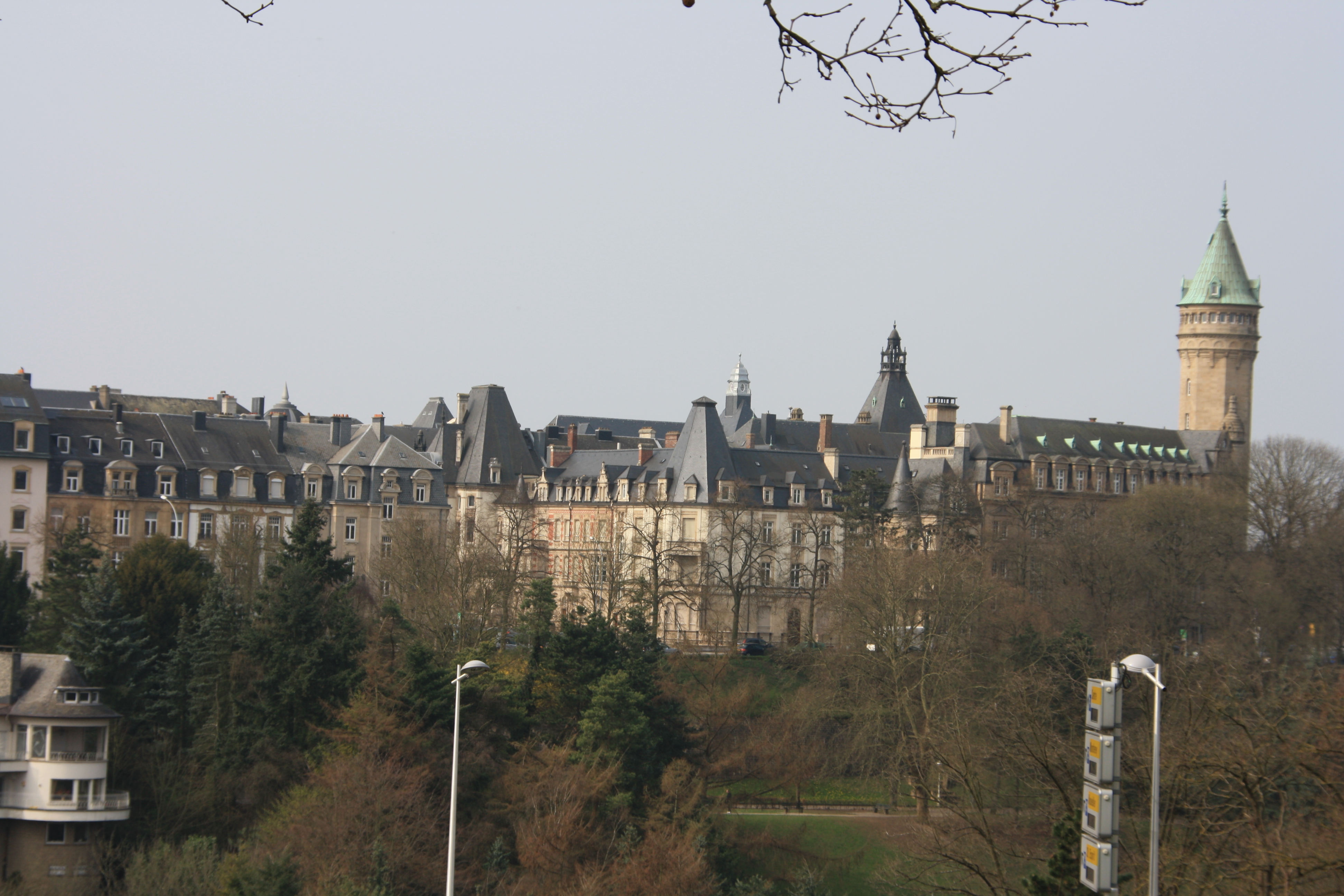 IMG_7310.JPG
