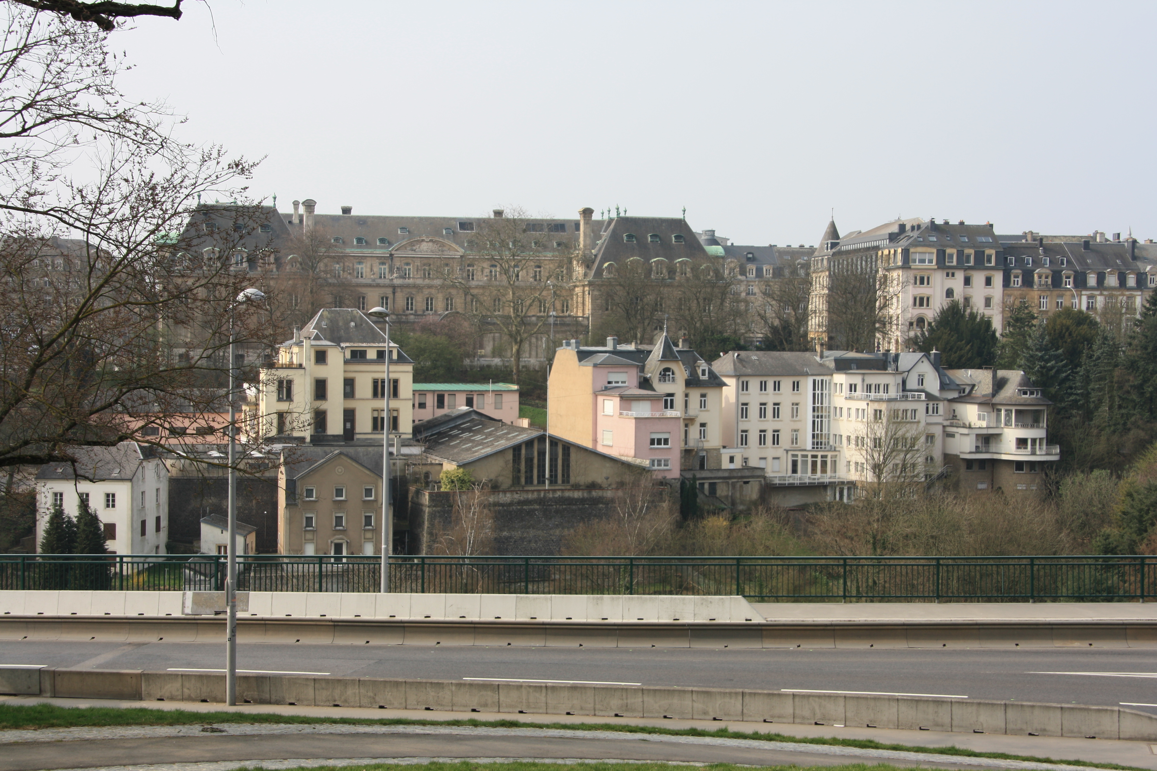 IMG_7312.JPG