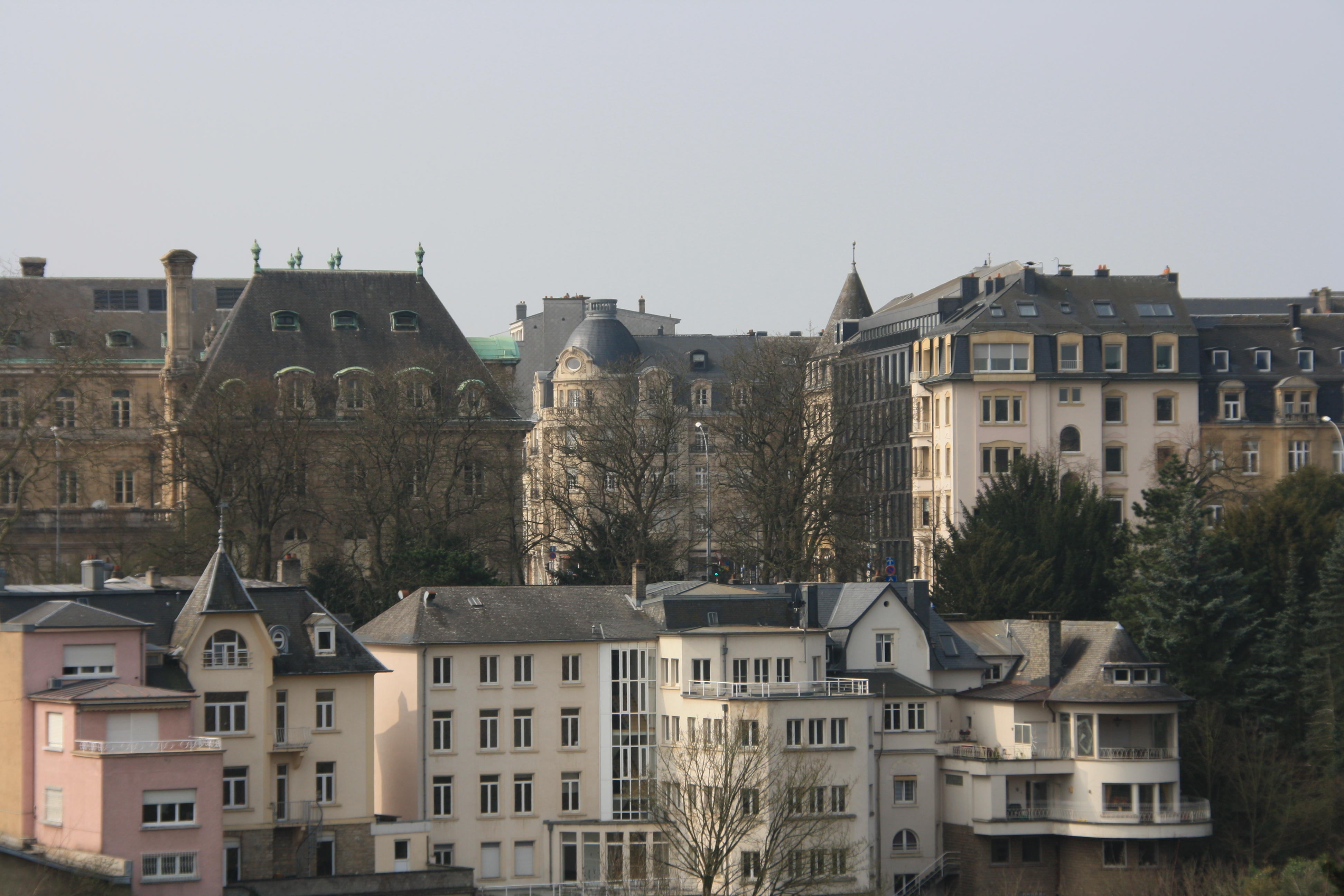 IMG_7322.JPG