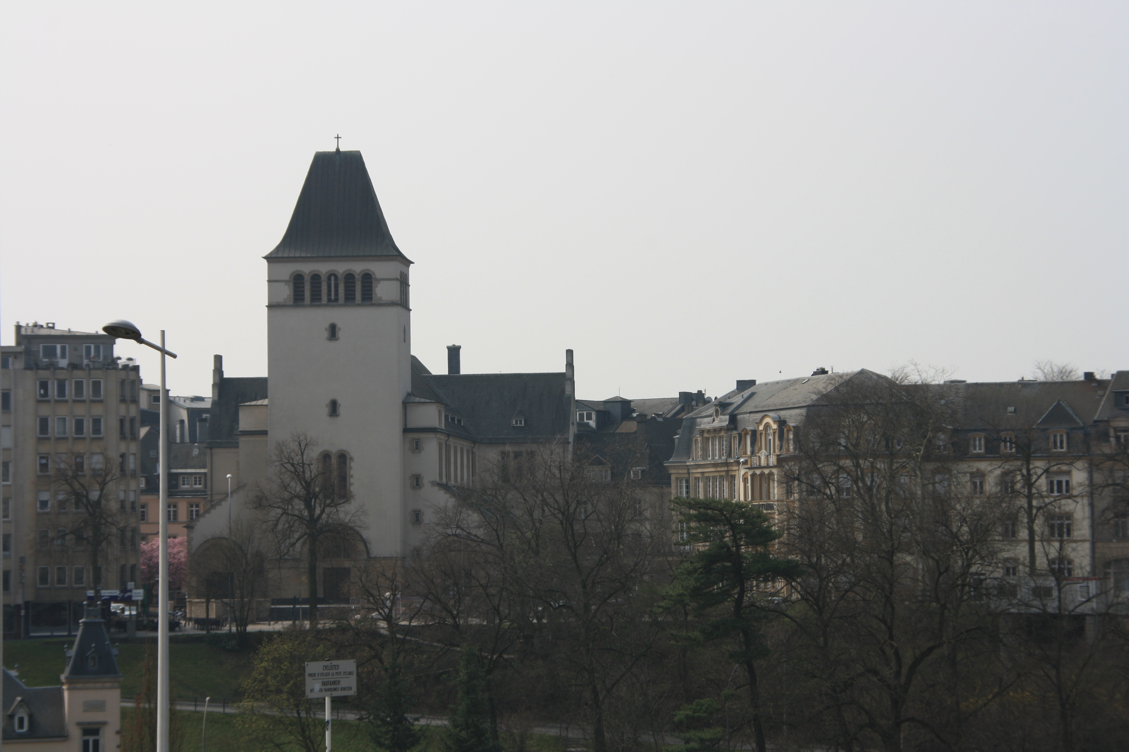 IMG_7333.JPG