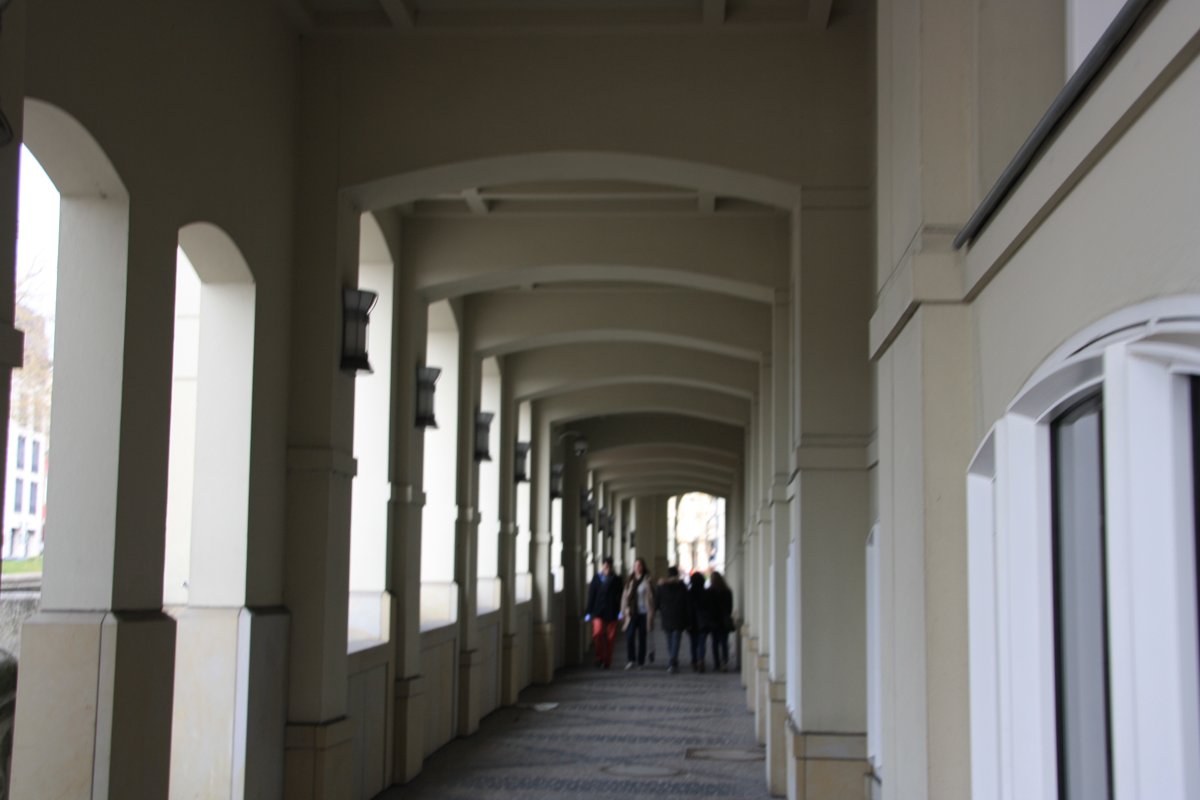 IMG_7334.JPG