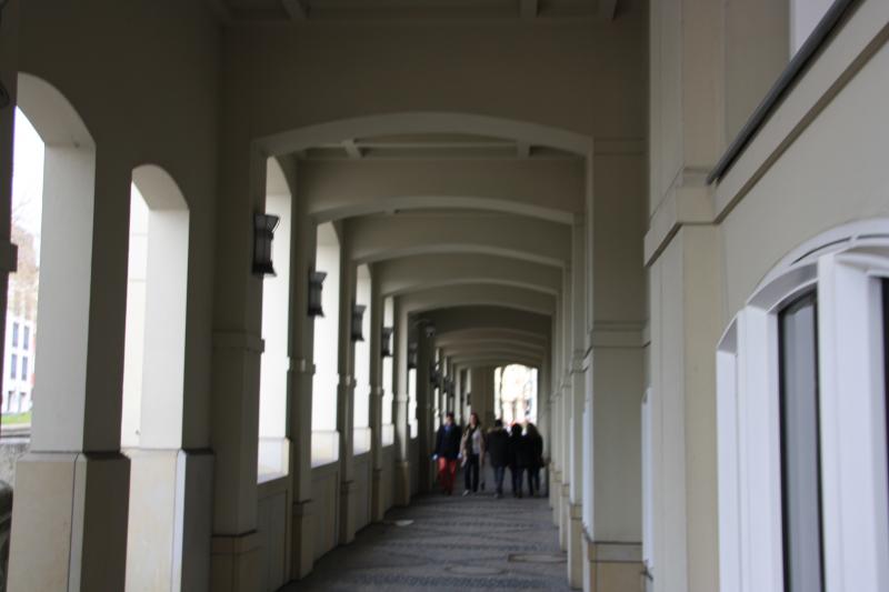 IMG_7334.JPG