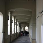 IMG_7334.JPG