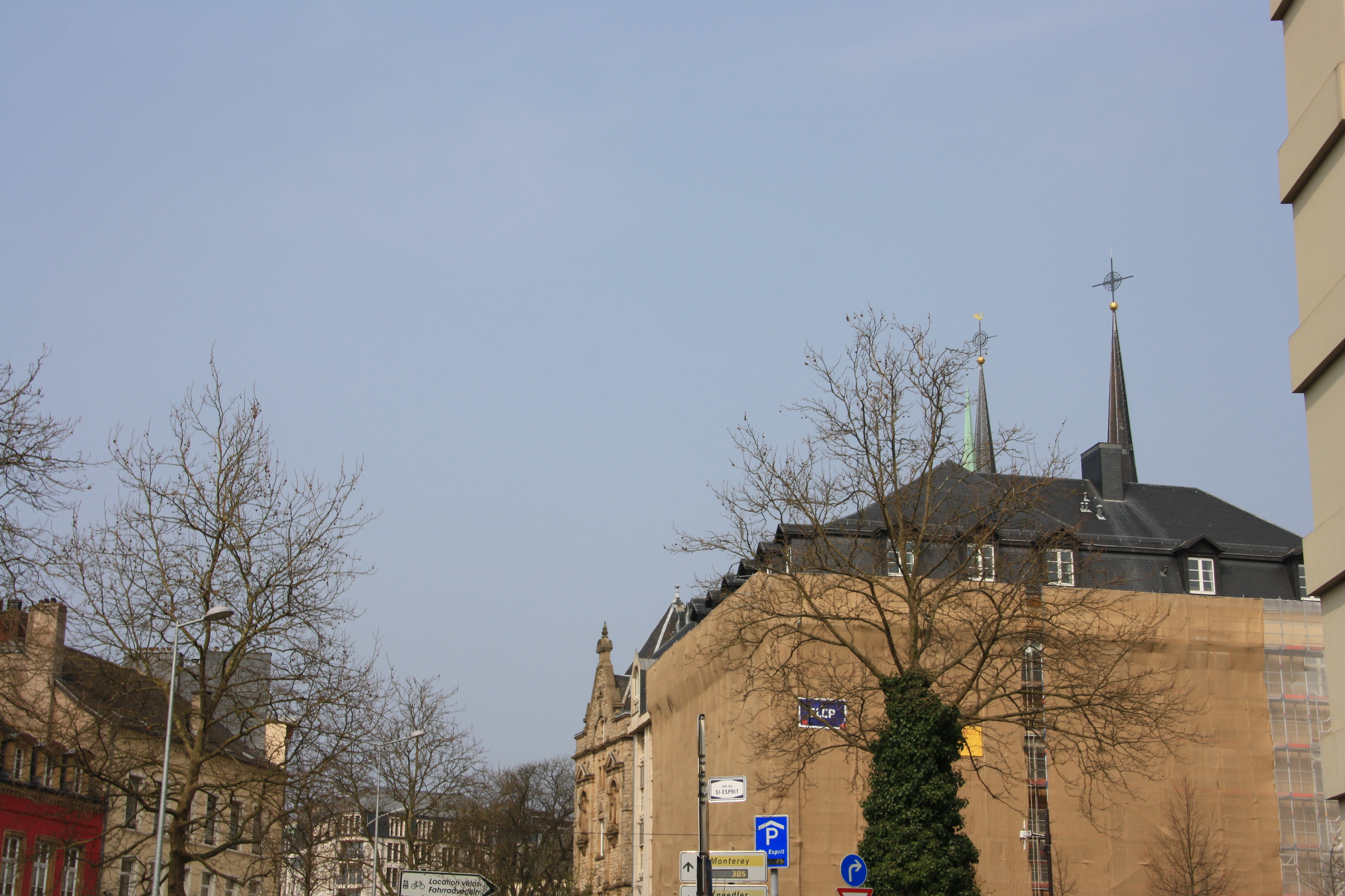 IMG_7335.JPG