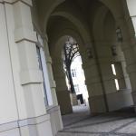 IMG_7336.JPG