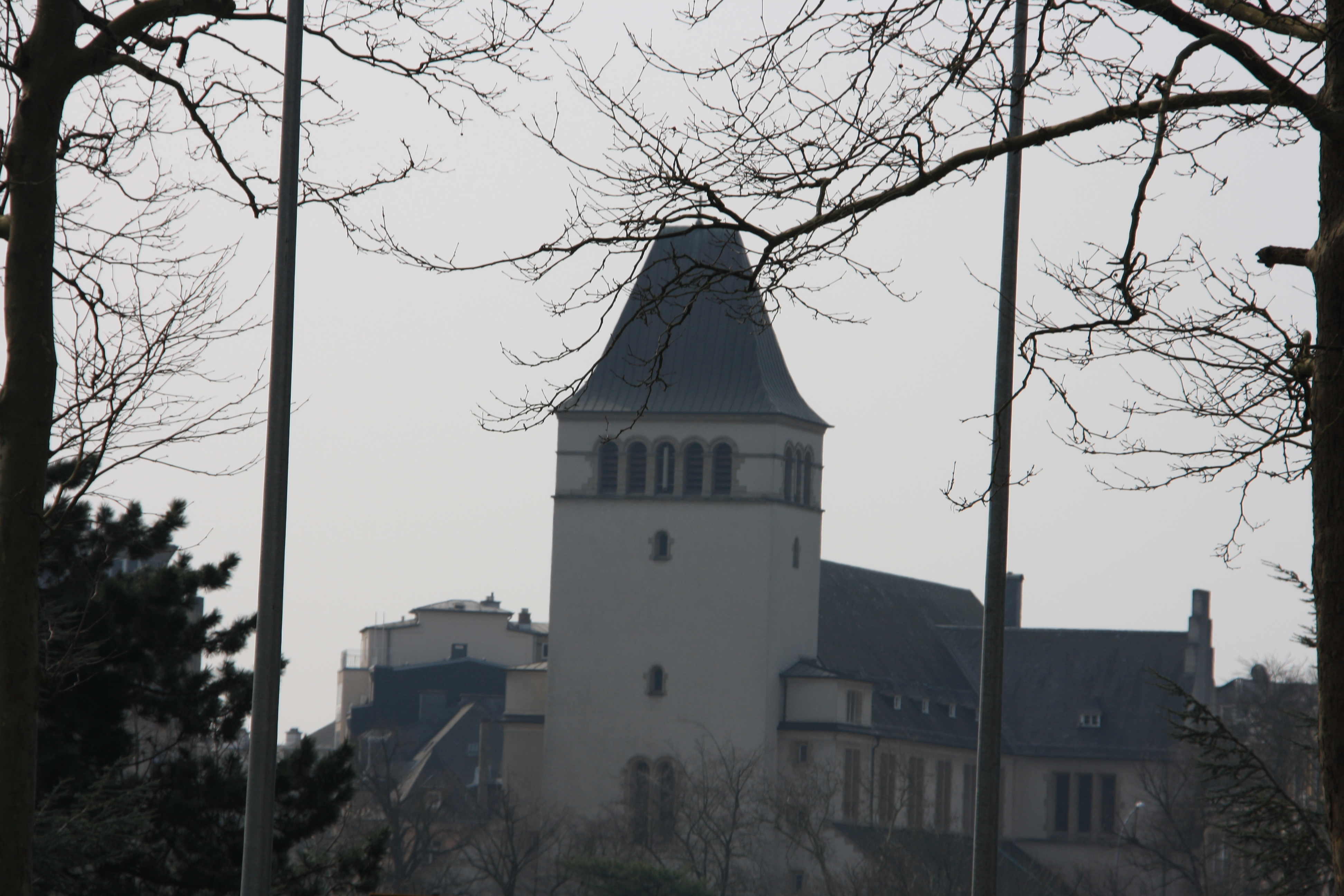 IMG_7339.JPG