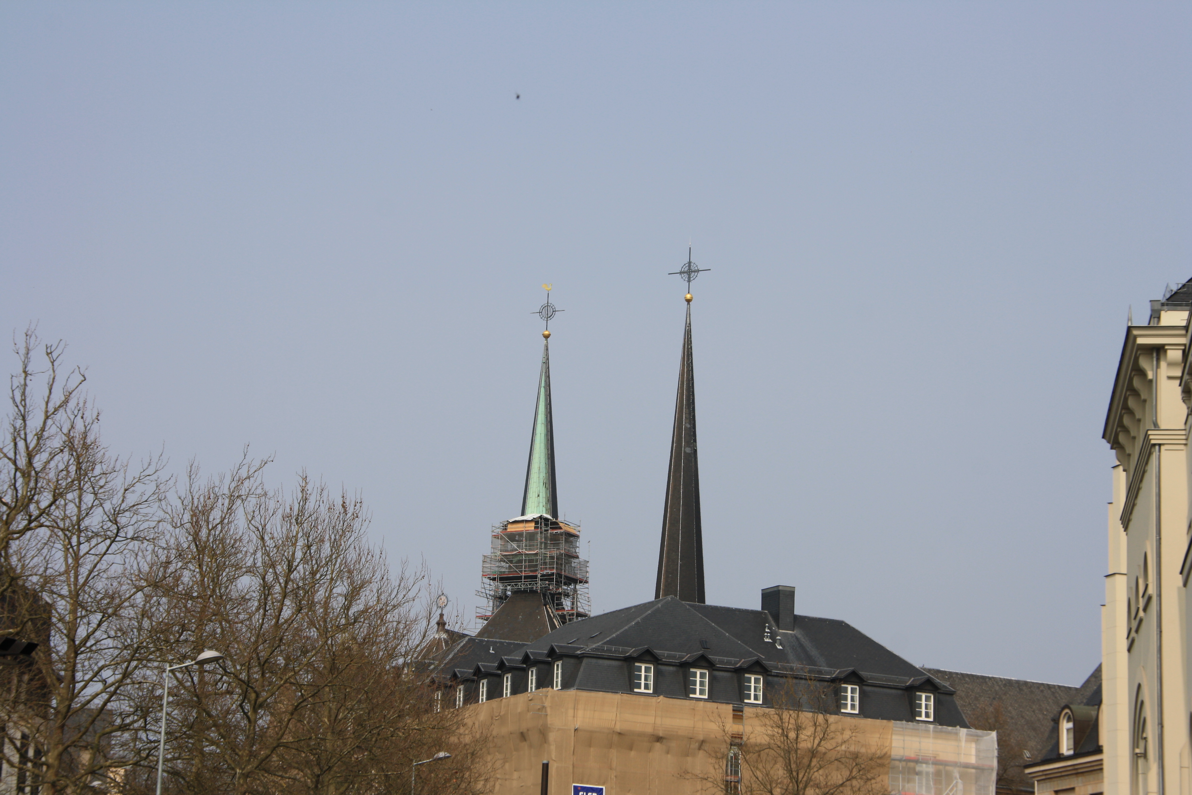 IMG_7341.JPG