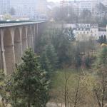 IMG_7344.JPG