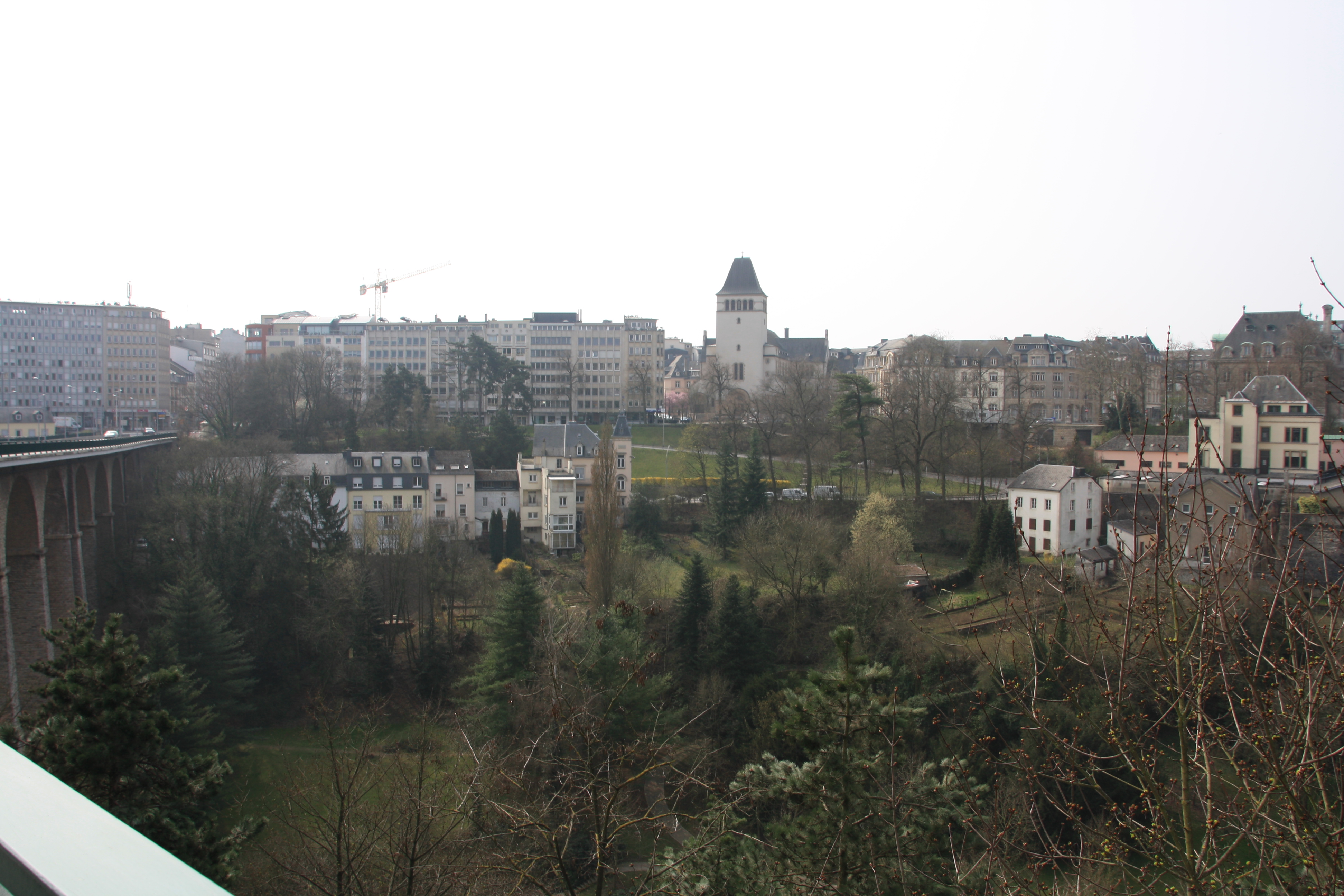 IMG_7346.JPG