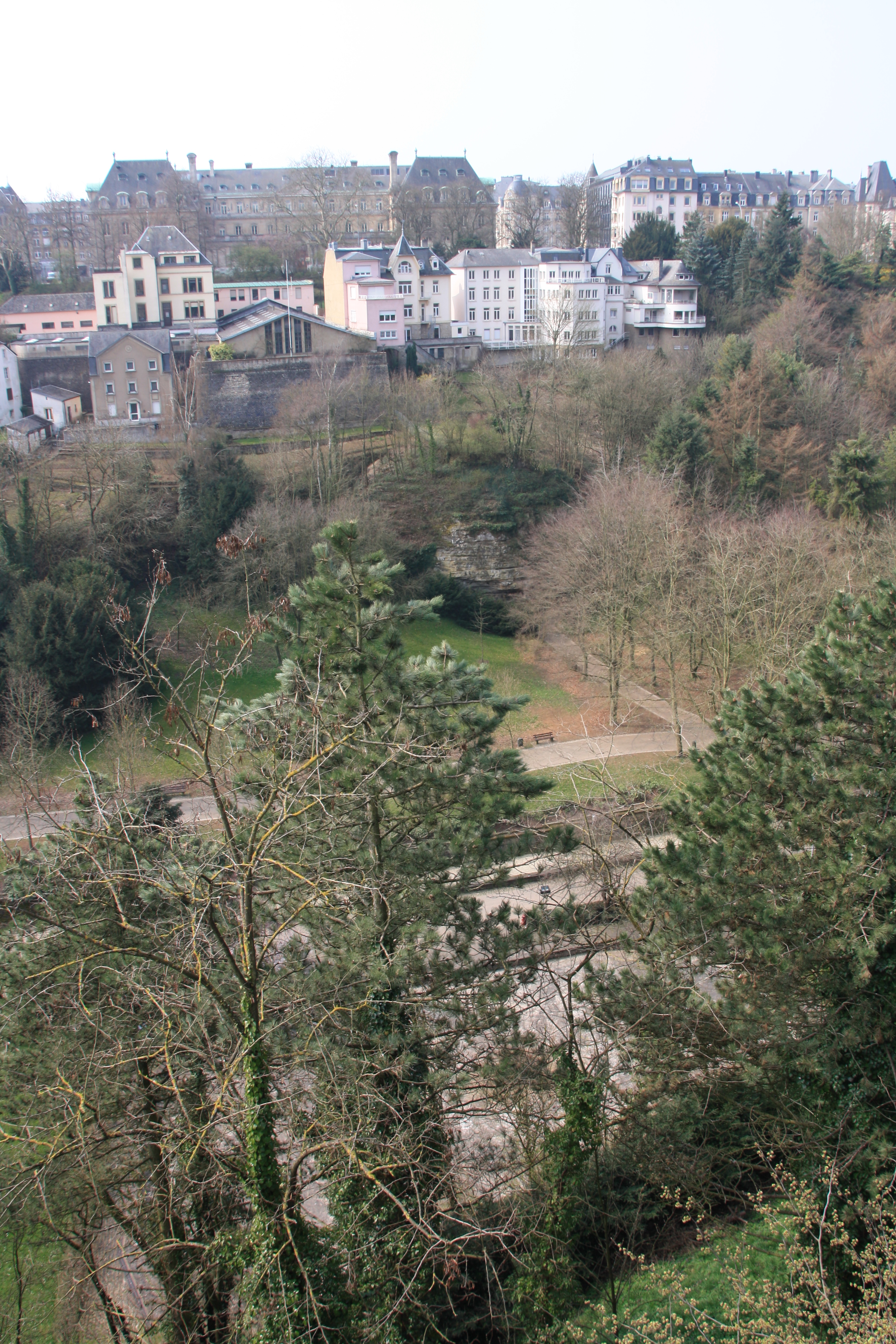IMG_7347.JPG