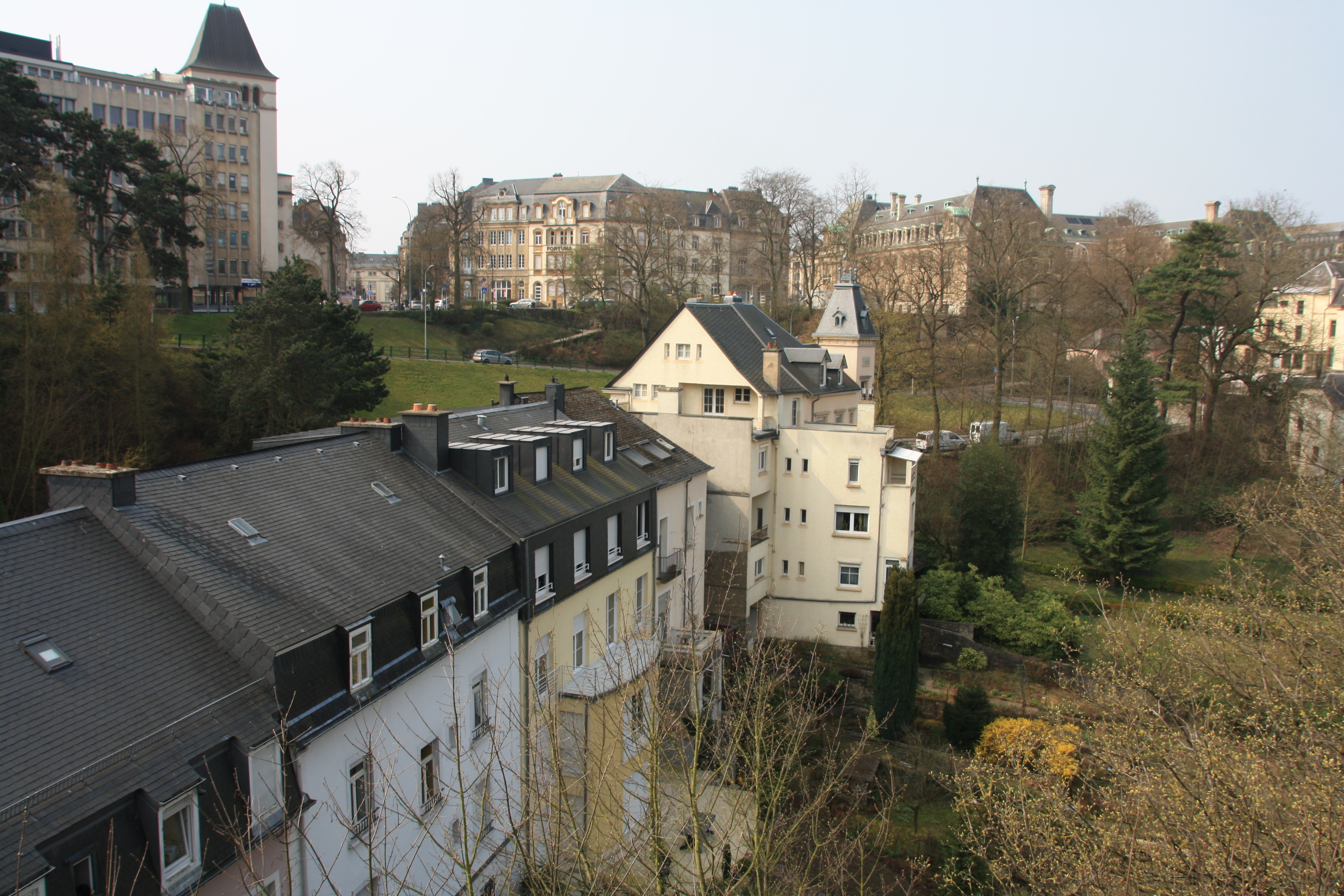 IMG_7359.JPG