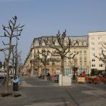 IMG_7374.JPG