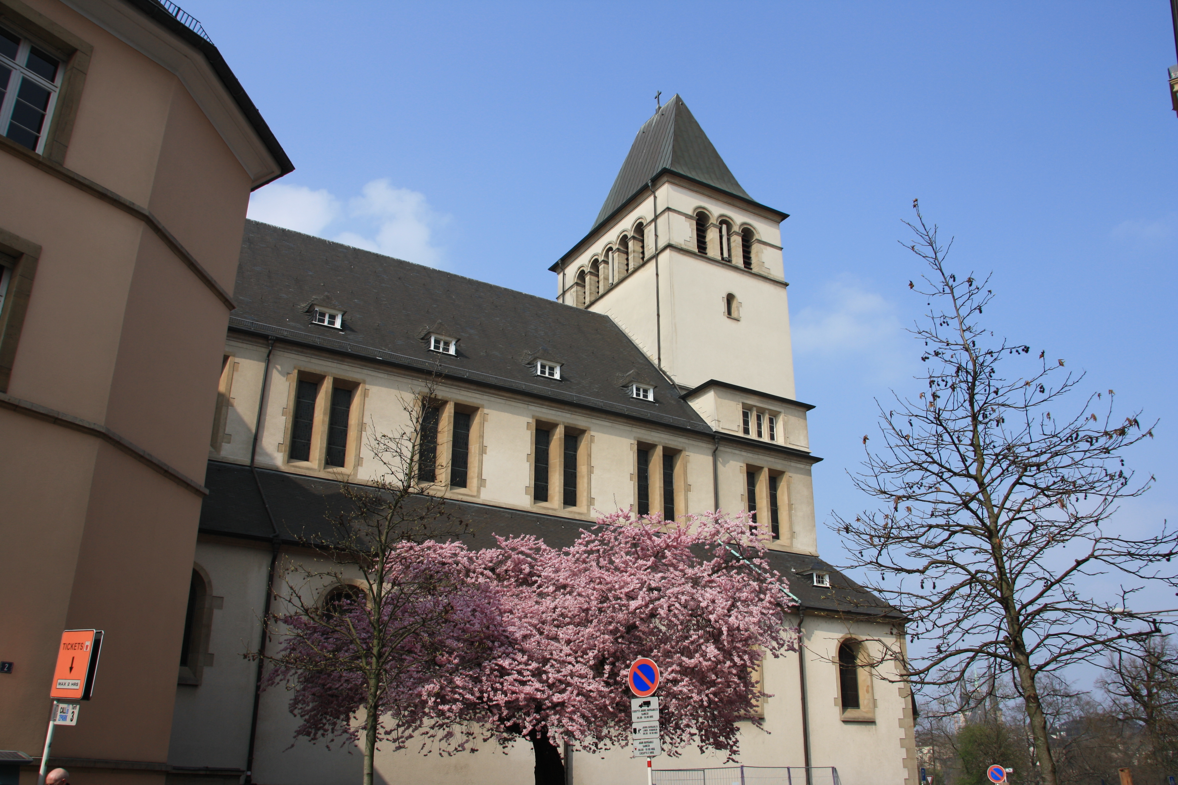 IMG_7380.JPG
