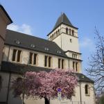 IMG_7380.JPG