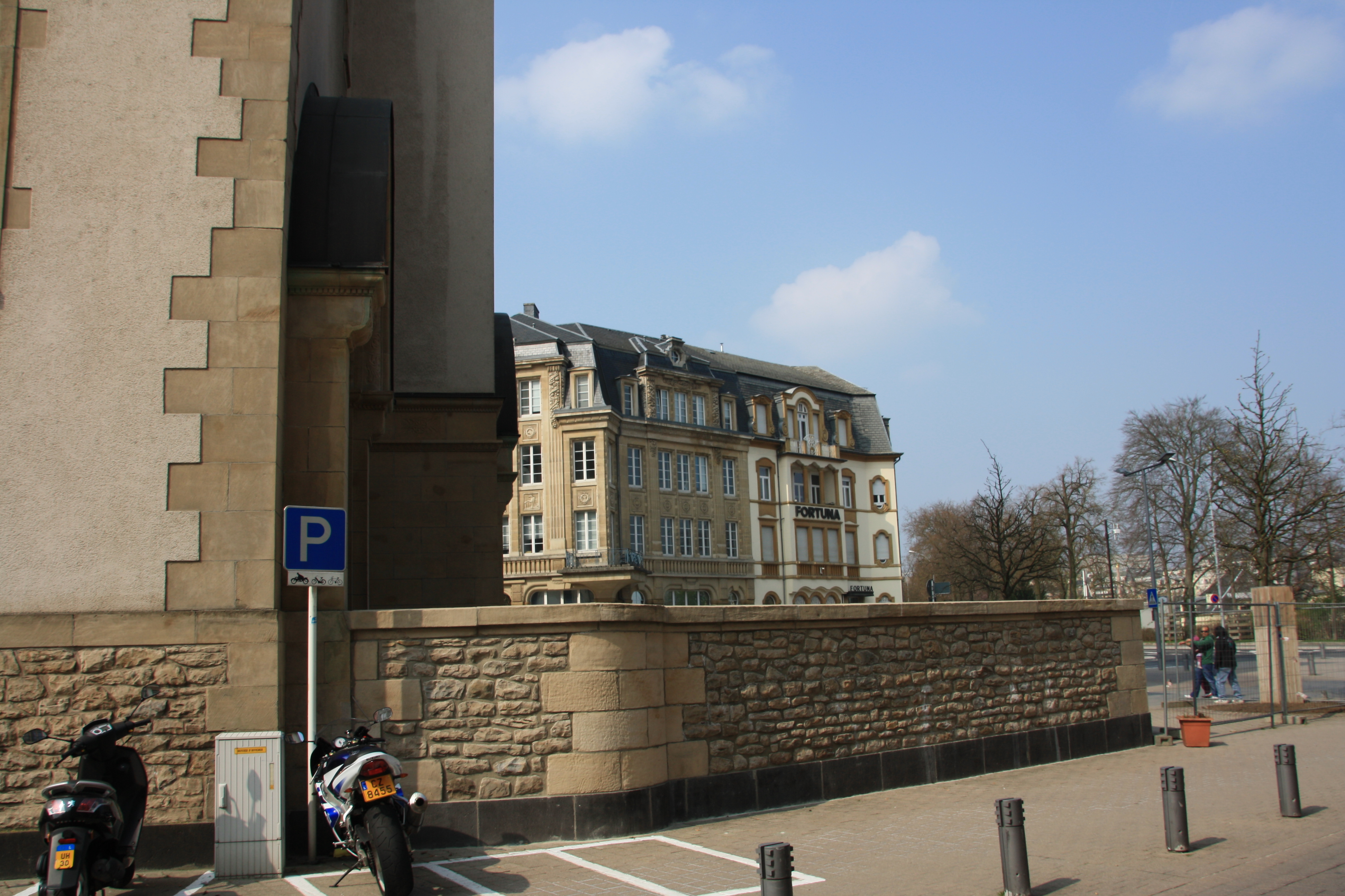 IMG_7381.JPG