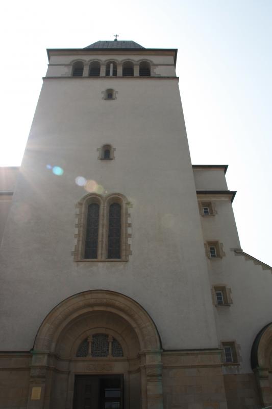 IMG_7382.JPG