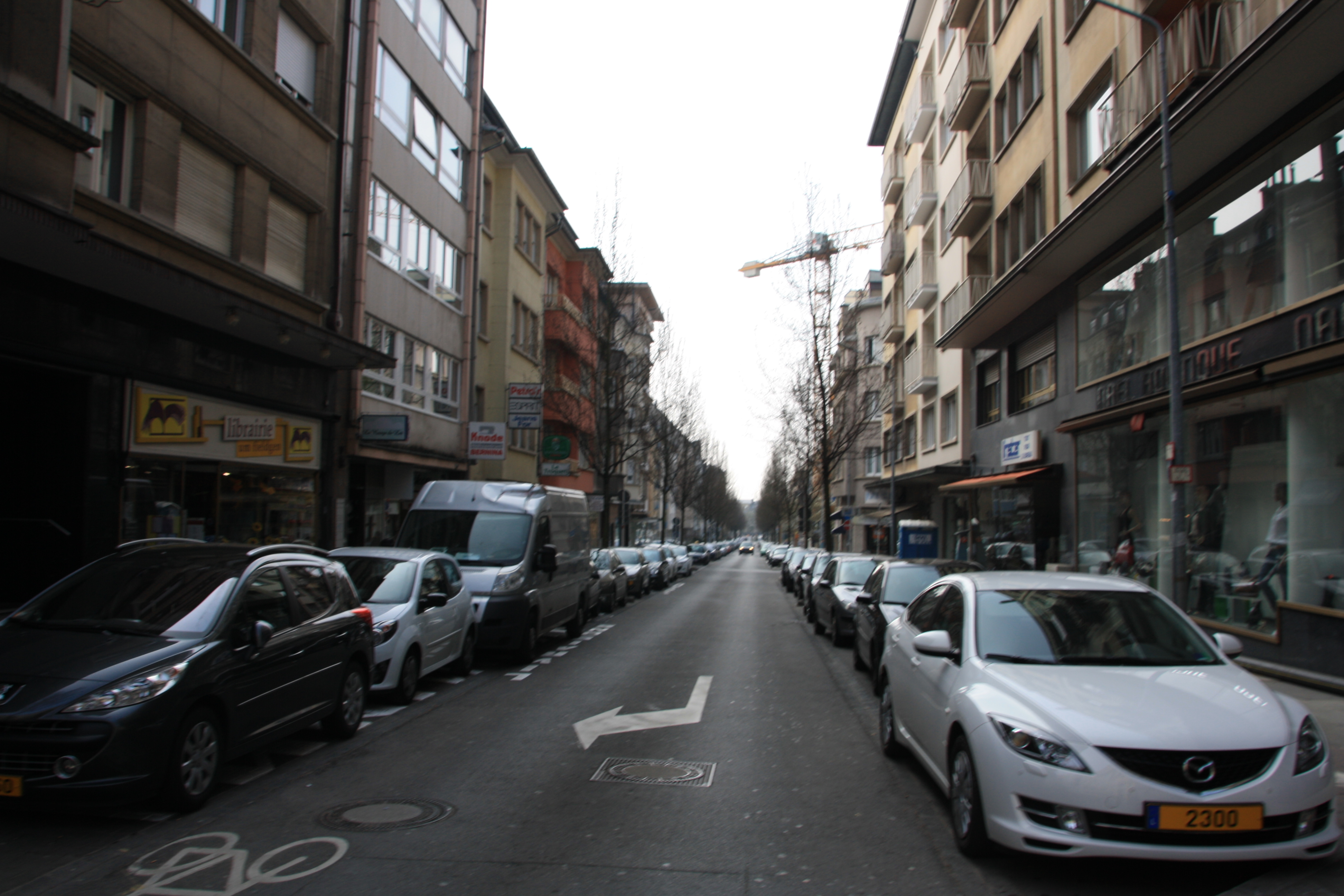 IMG_7423.JPG