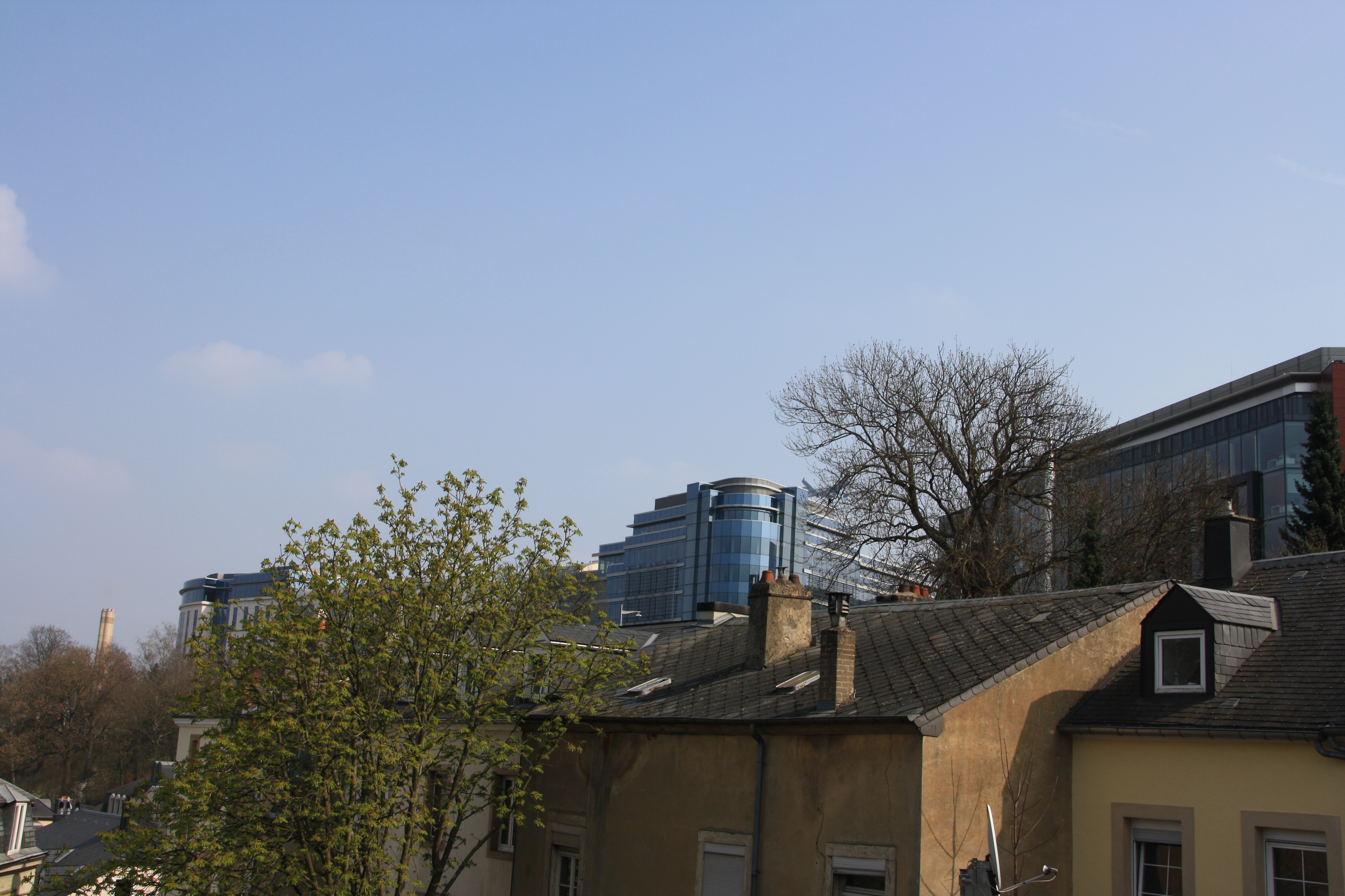 IMG_7451.JPG