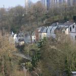 IMG_7454.JPG
