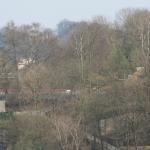 IMG_7463.JPG