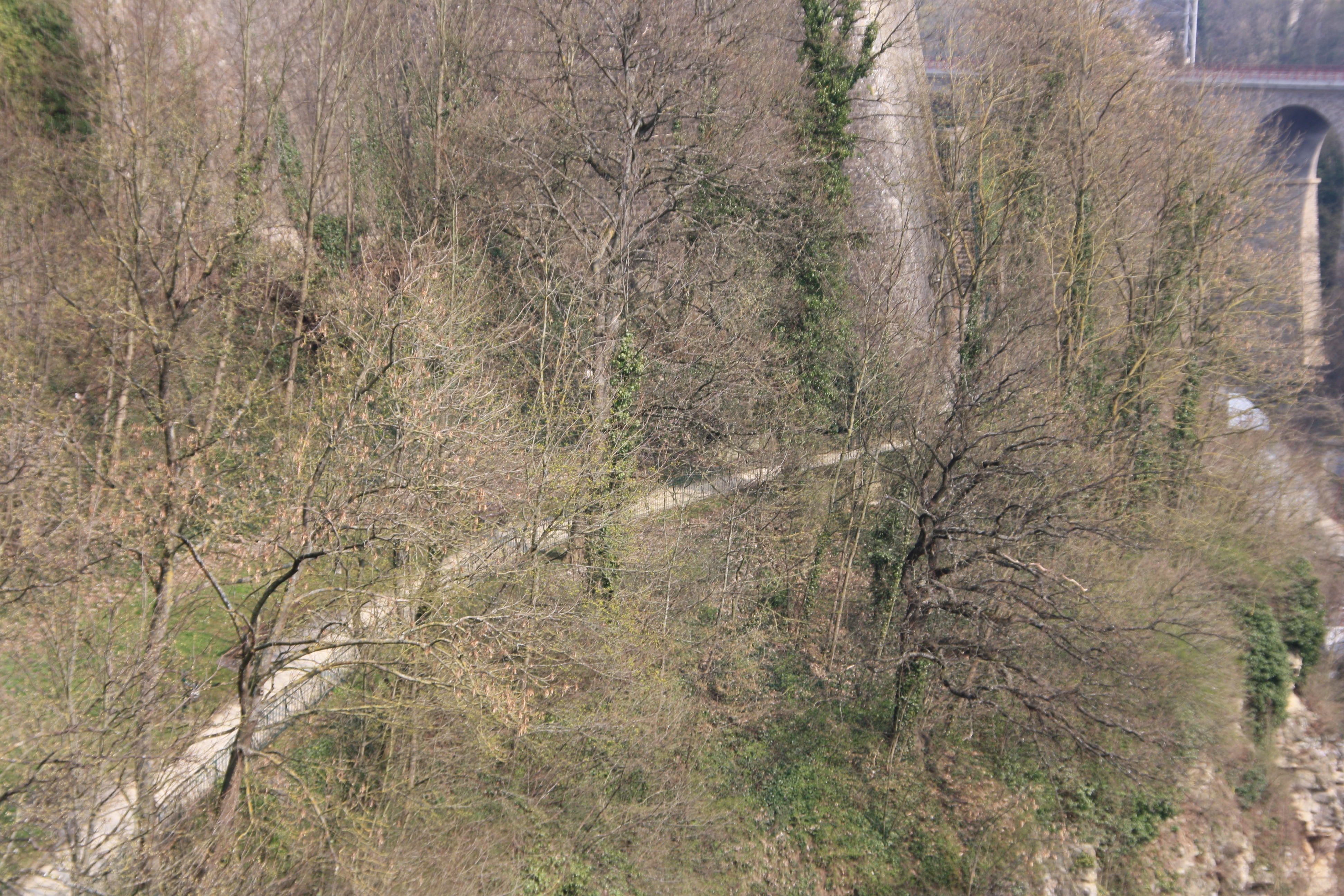 IMG_7467.JPG