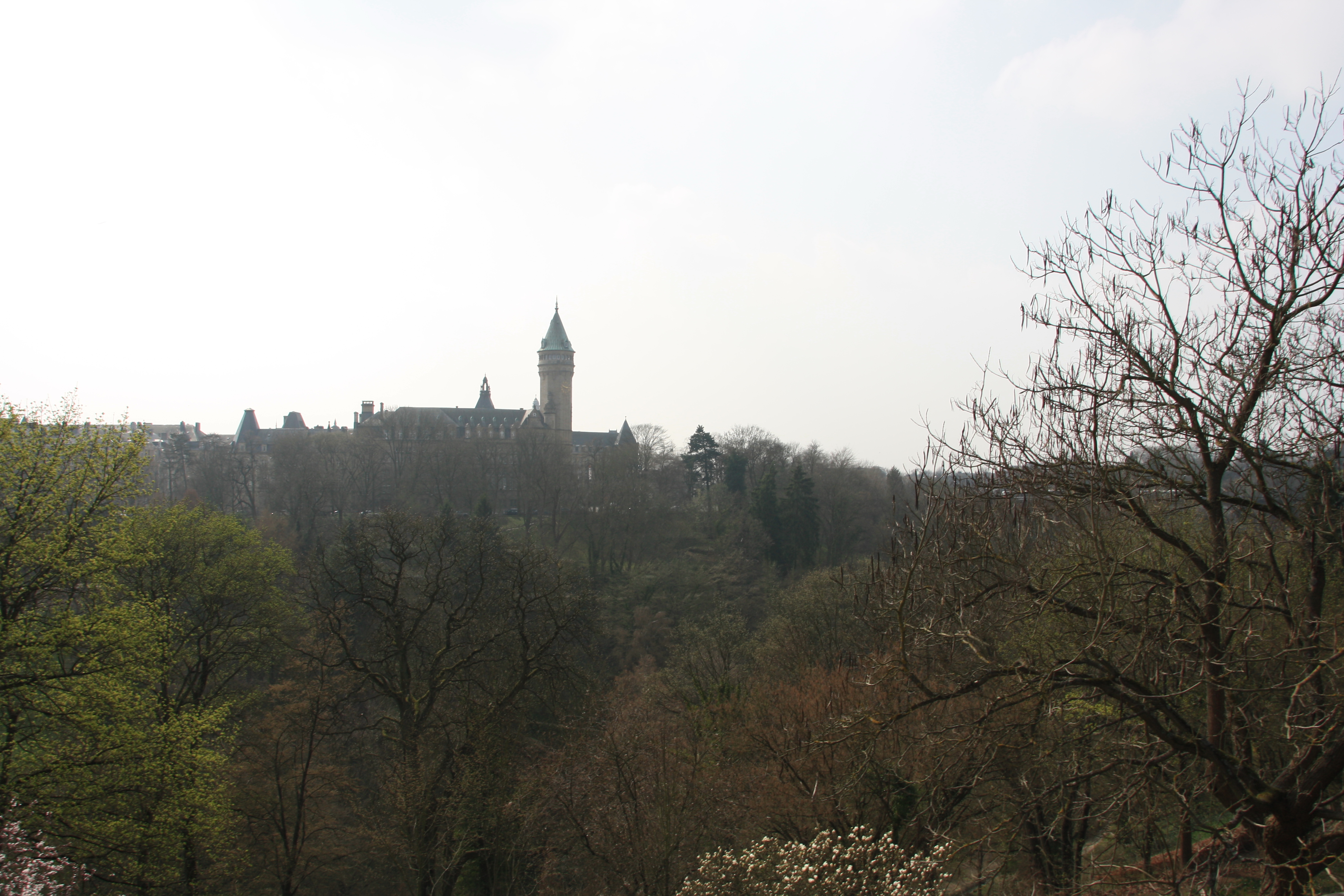 IMG_7481.JPG