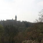 IMG_7481.JPG