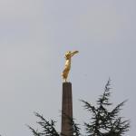 IMG_7482.JPG