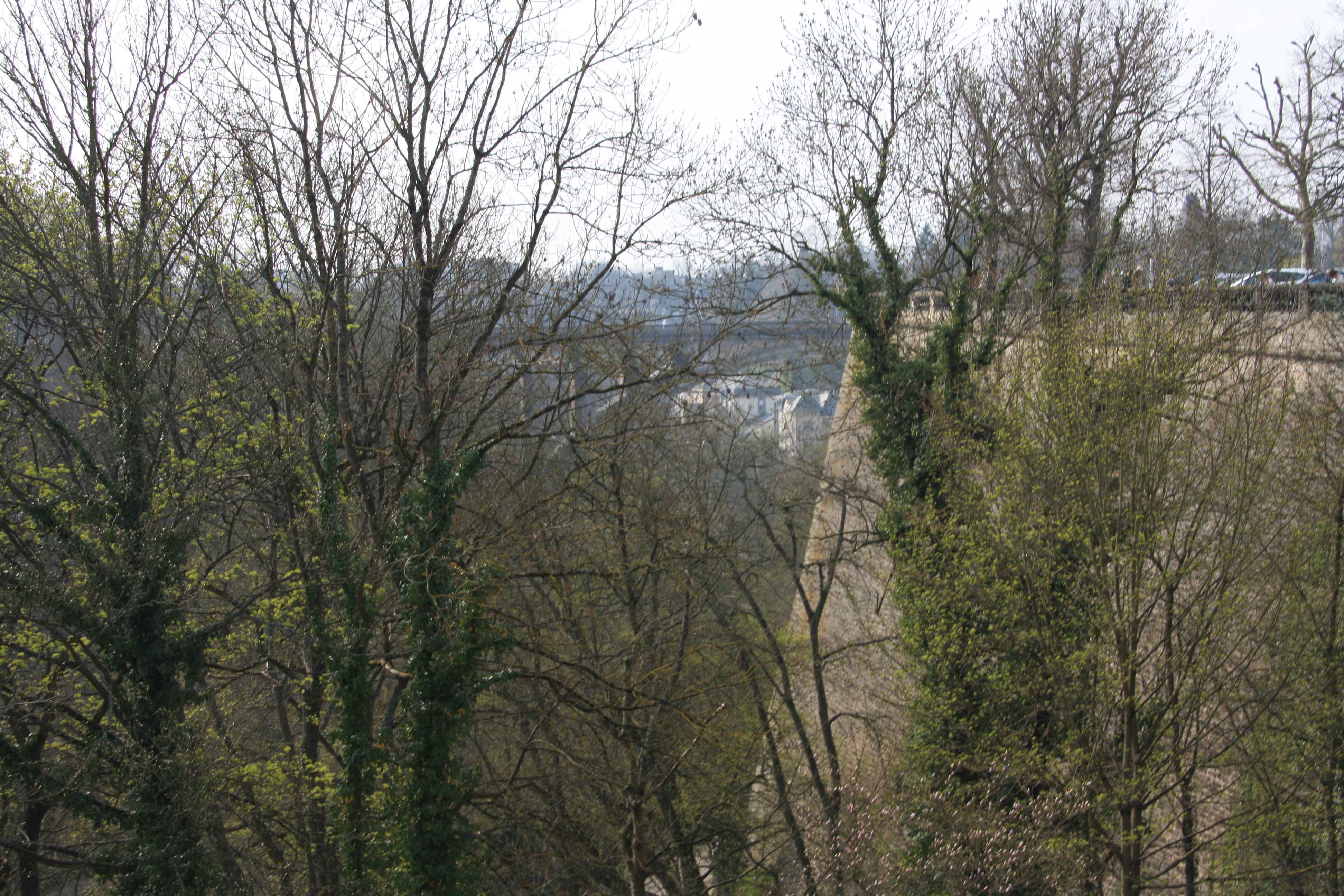 IMG_7483.JPG
