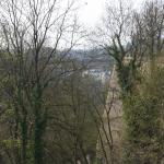IMG_7483.JPG