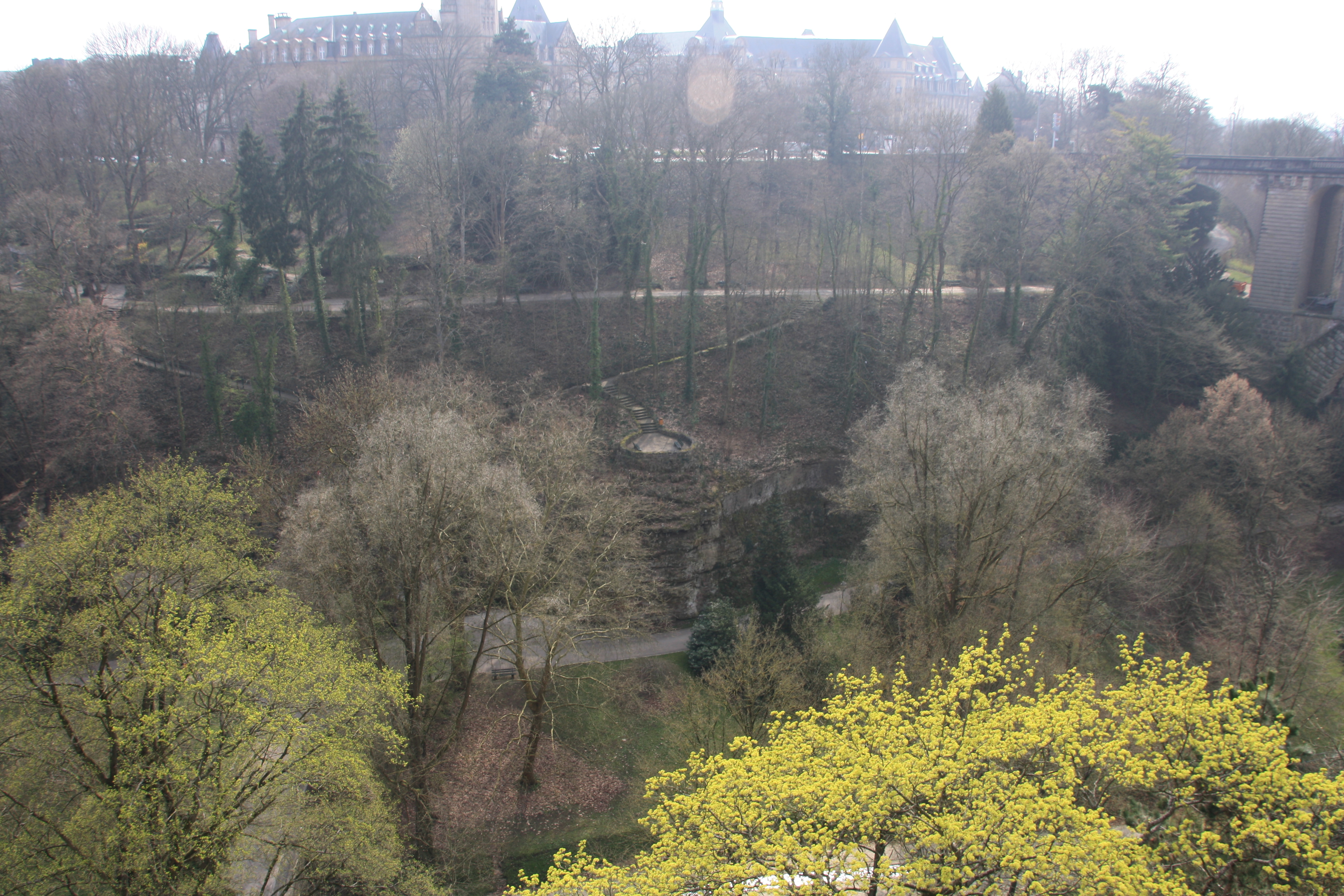 IMG_7492.JPG