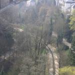 IMG_7494.JPG