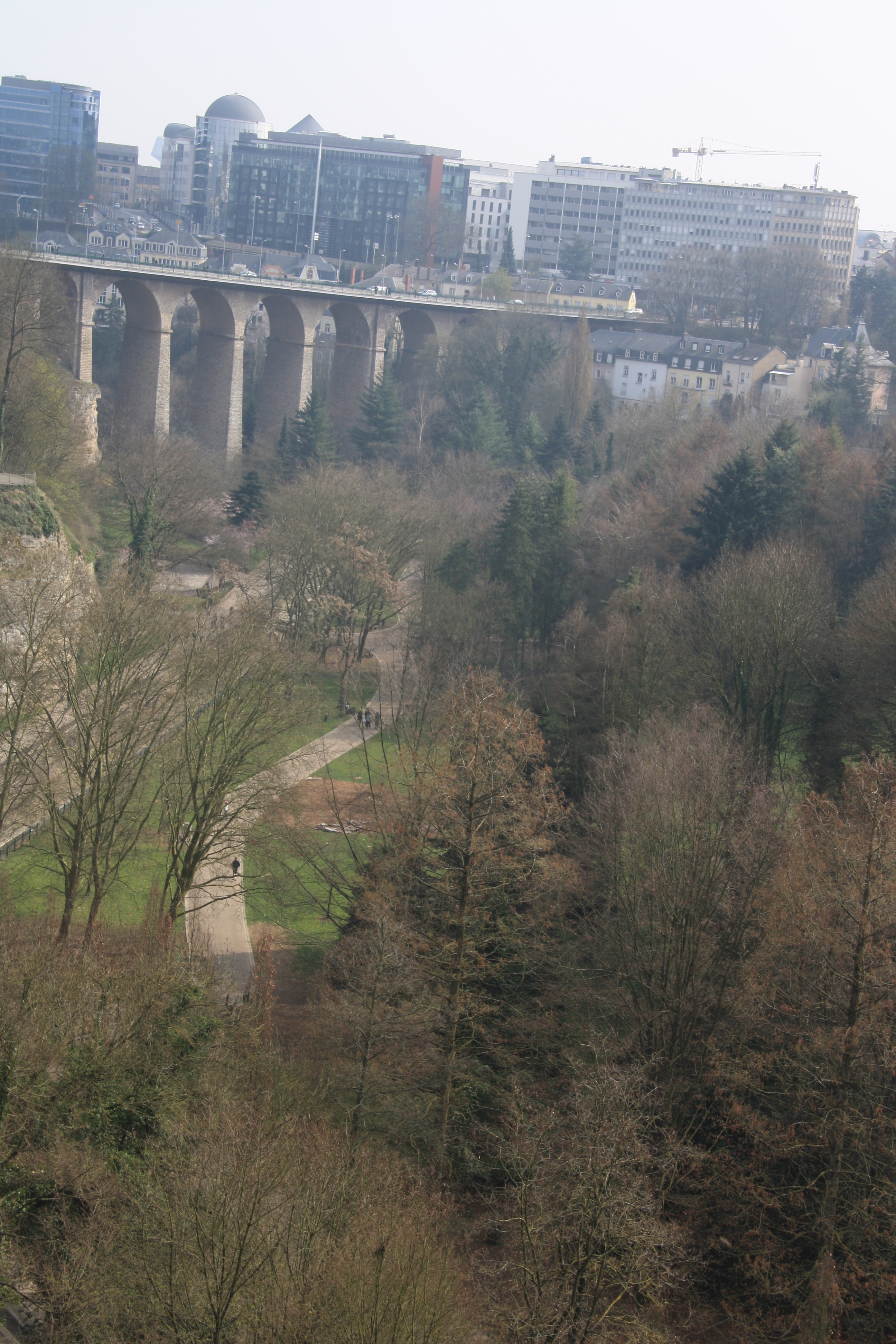 IMG_7497.JPG