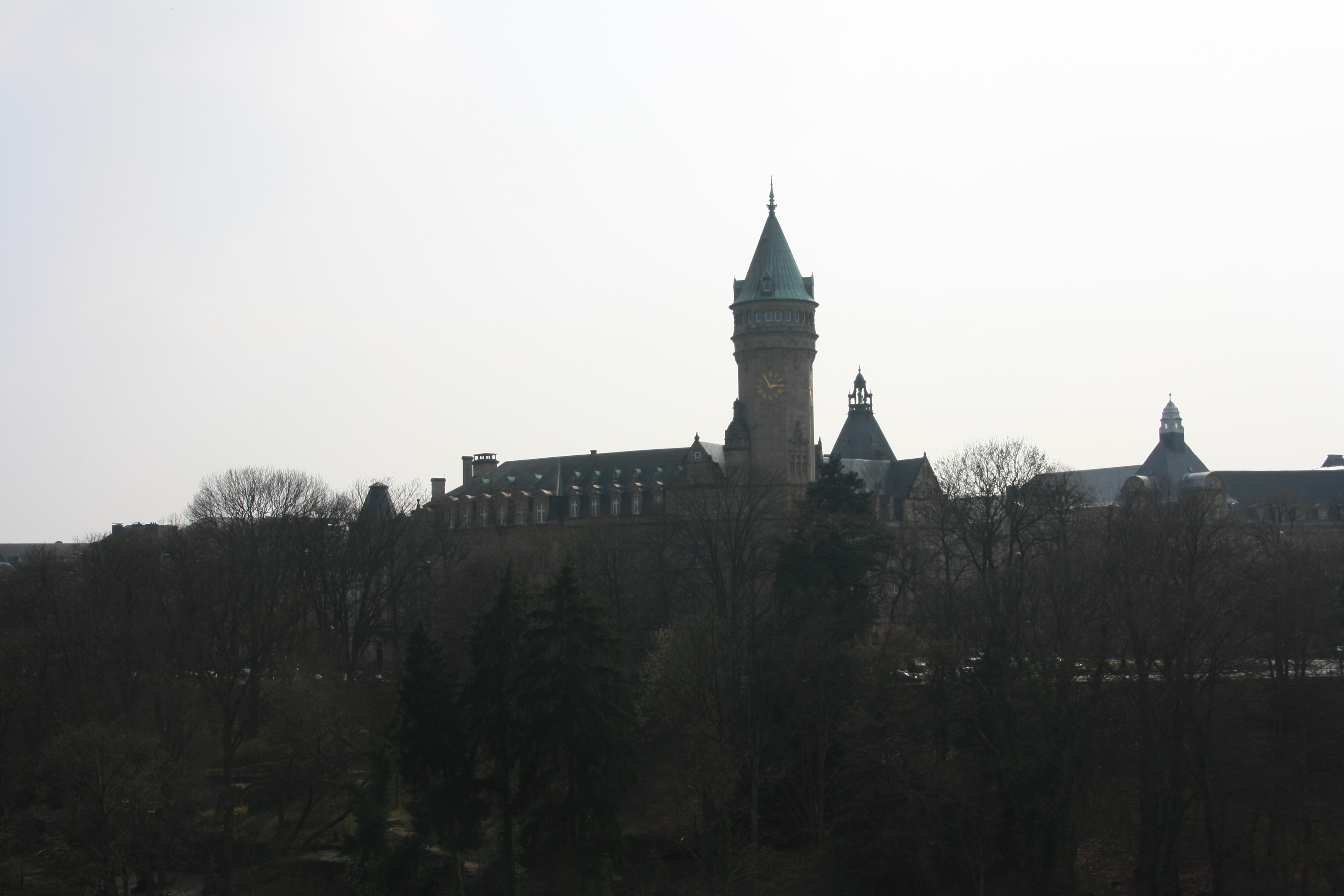 IMG_7503.JPG