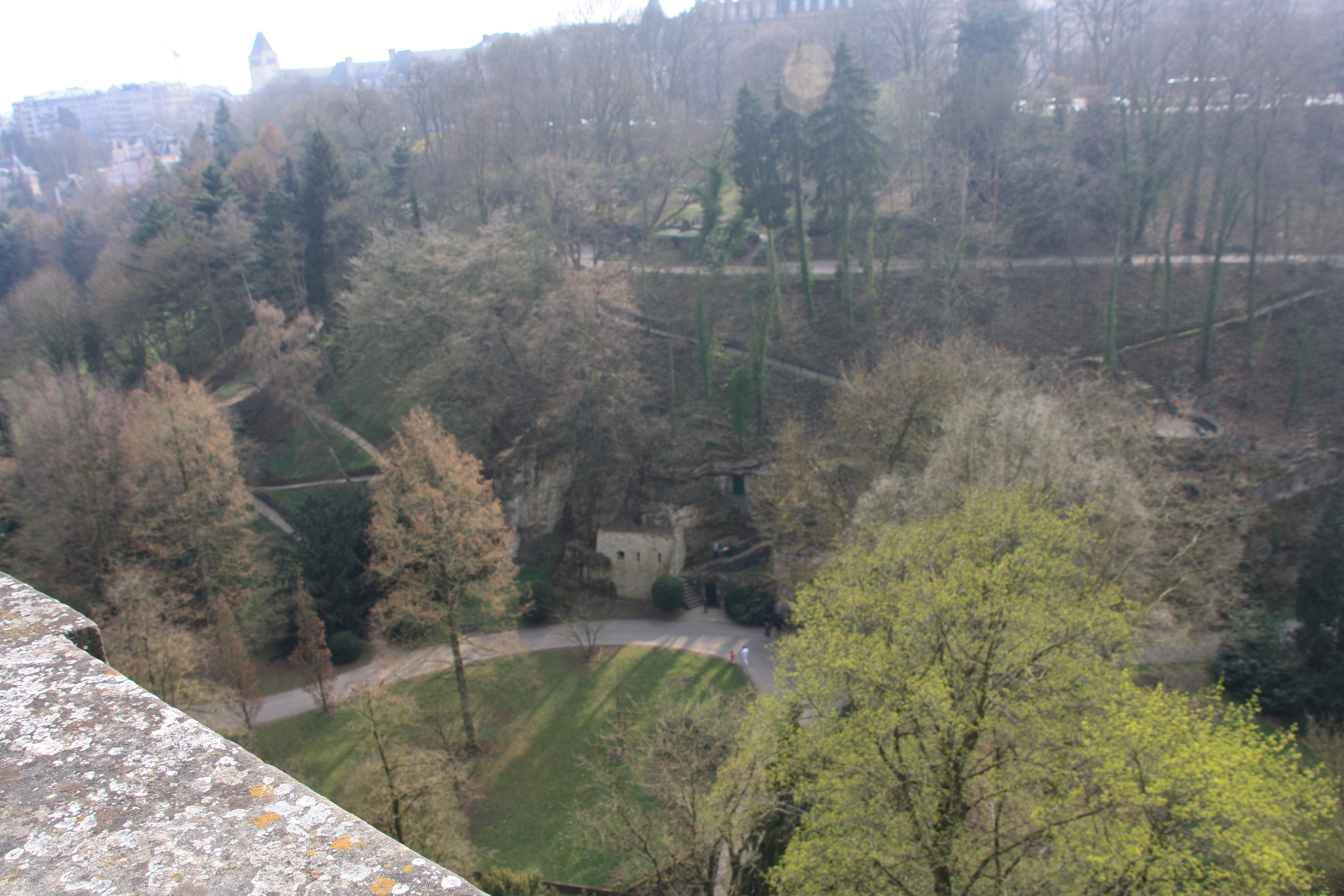IMG_7509.JPG