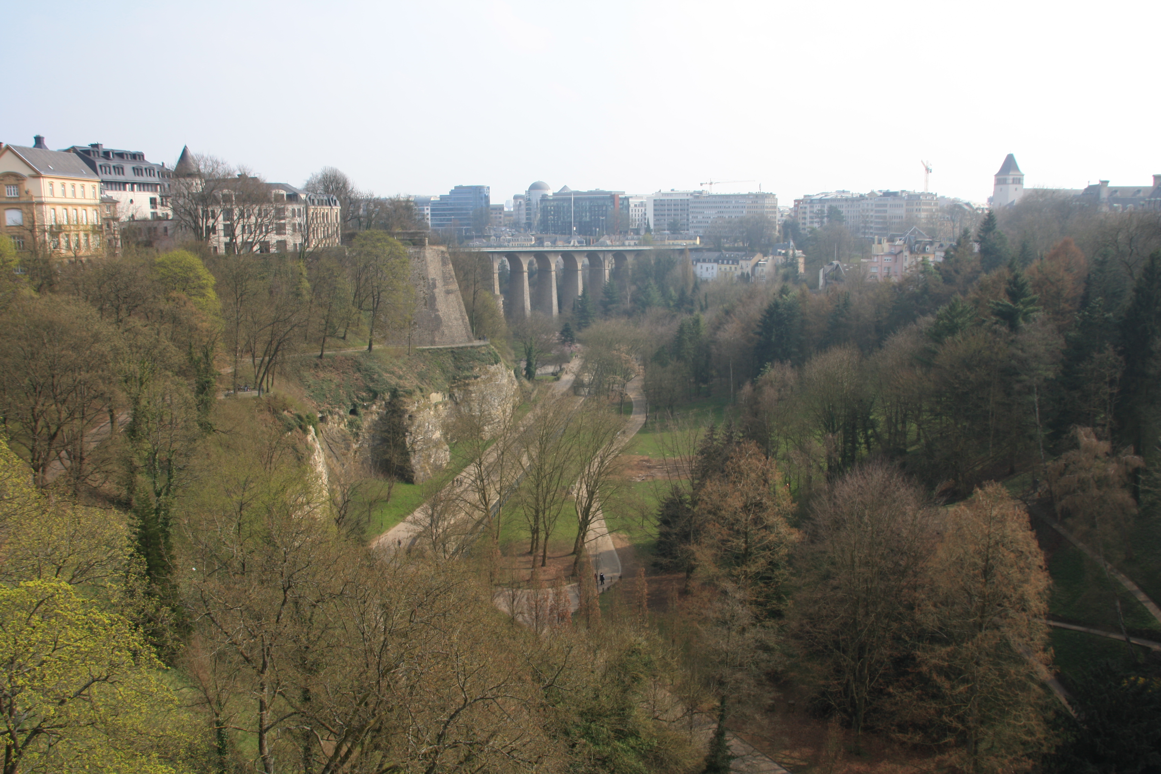 IMG_7516.JPG