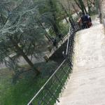 IMG_7529.JPG