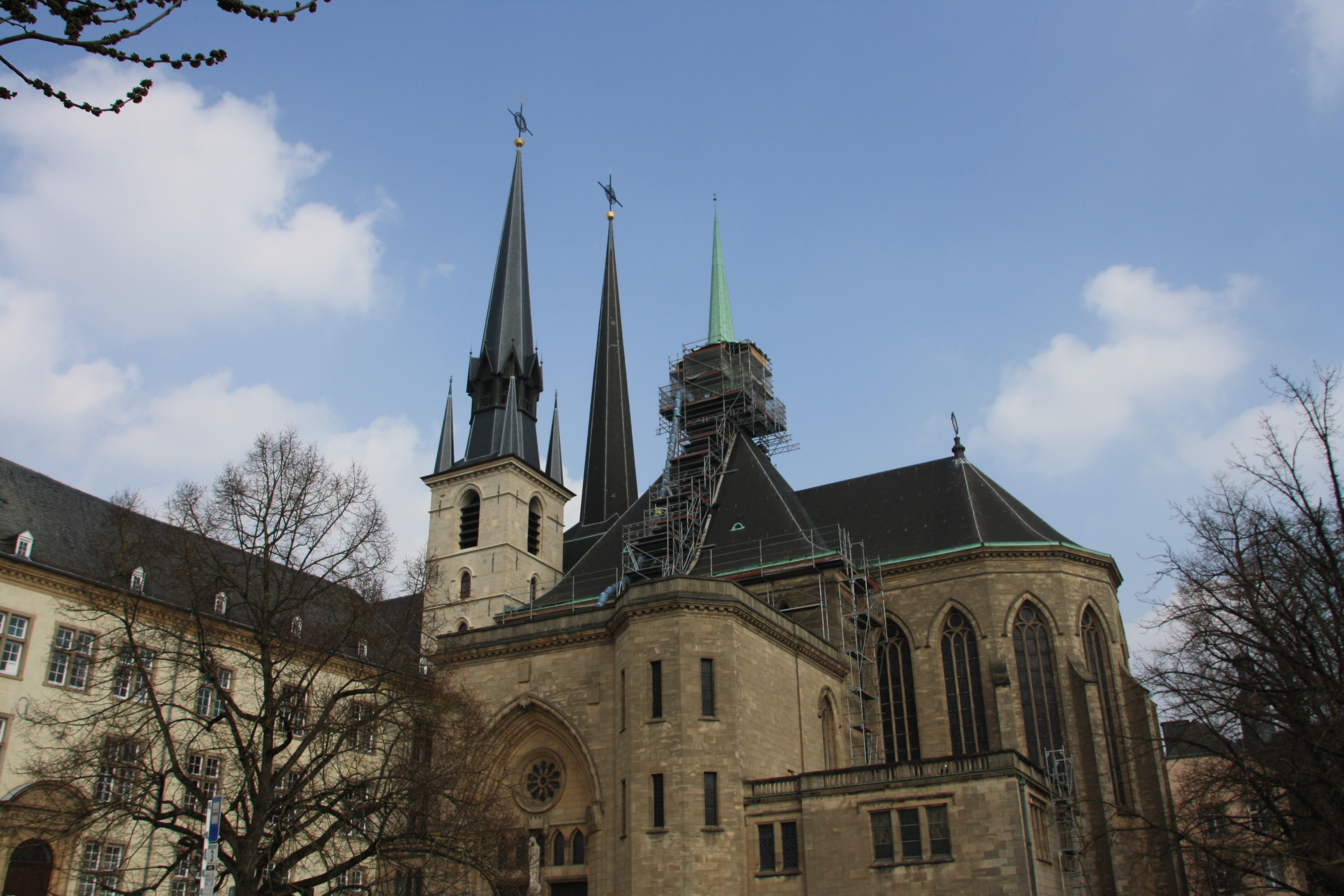 IMG_7531.JPG