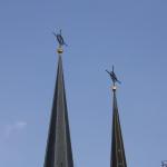 IMG_7532.JPG