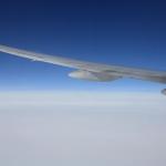 IMG_7816.JPG