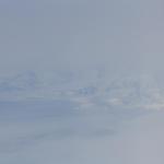 IMG_7833.JPG